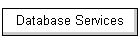 Database Services