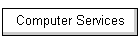 Computer Services
